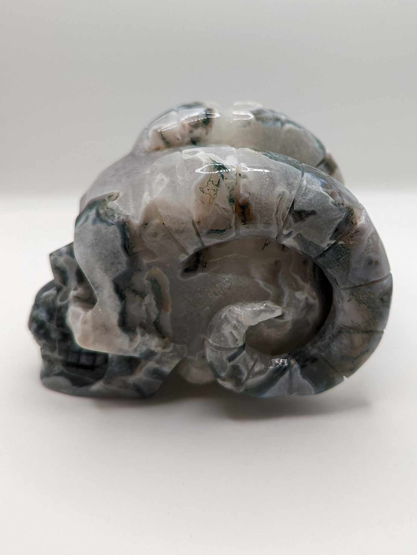 Large Moss Agate Ram Skull