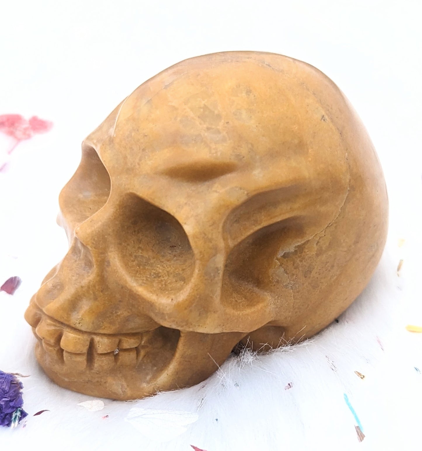 3" inches Yellow Jasper Skull