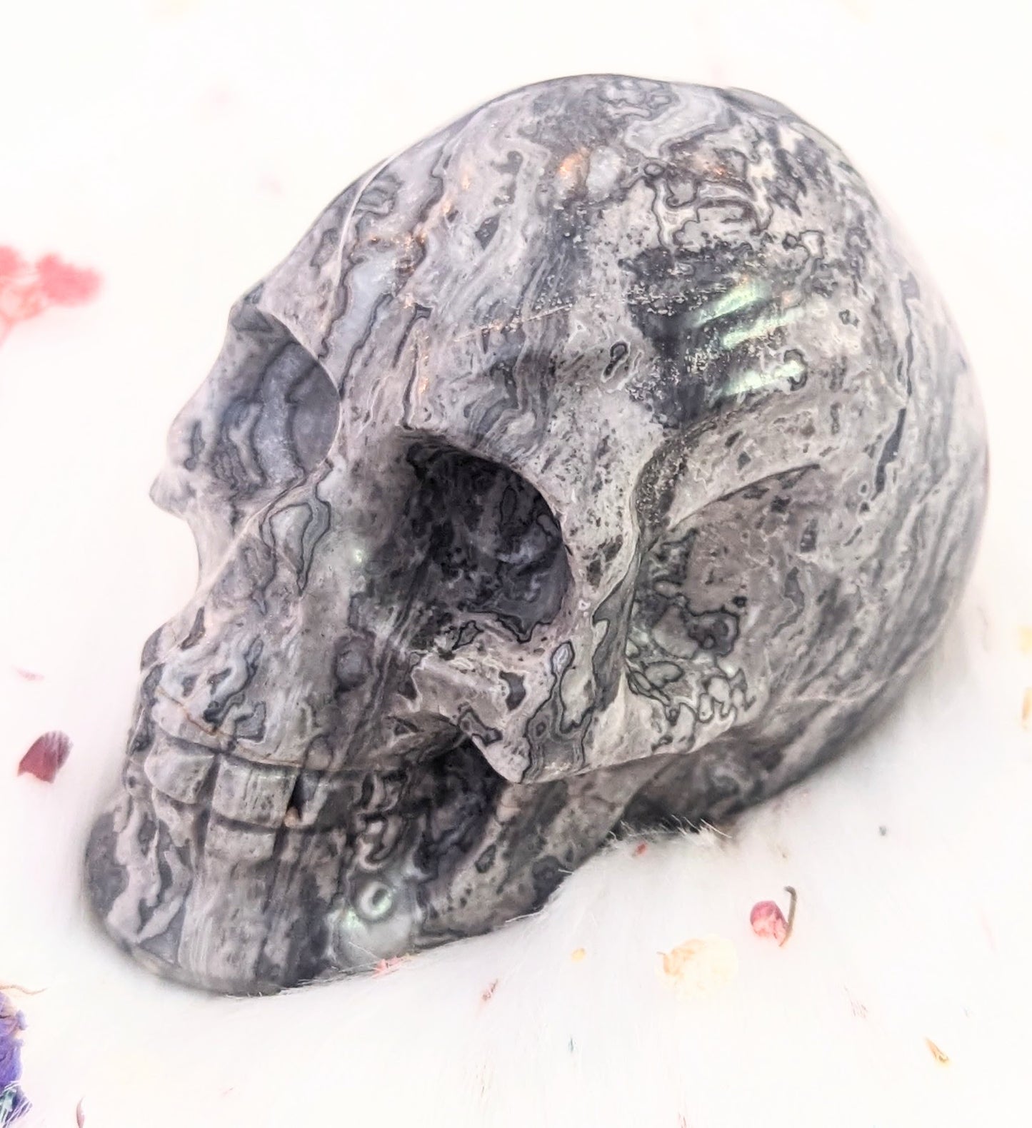 3" inches Picasso Jasper Skull